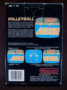 Volleyball (02)